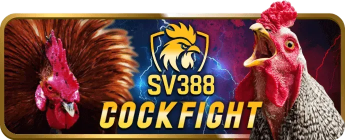 Khuyến mãi đặc biệt cho đá gà tại Game789 Chính Thức